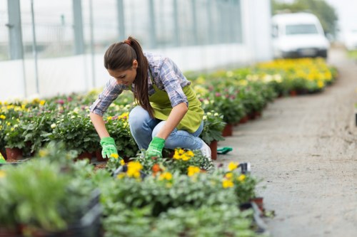 Professional garden clearance work near a wooden deck