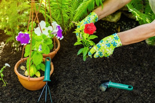 Professionally trimmed hedges surrounding a garden deck.