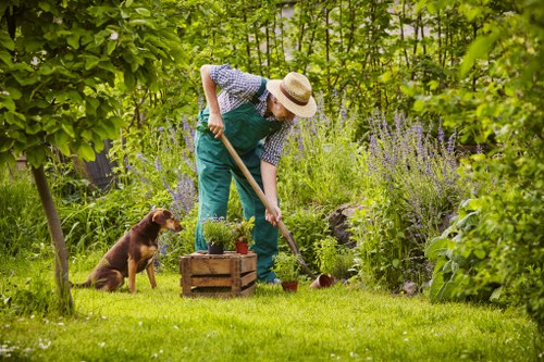 Professional landscape gardeners designing garden decking