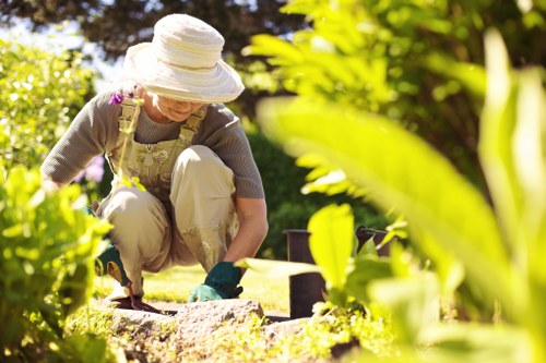 Professional tree cutting service near garden decking