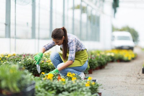 Professional lawn mowing service near garden decking