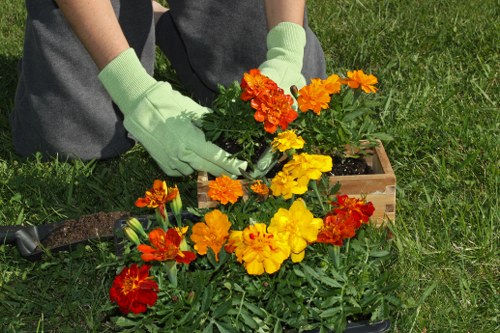 Seasonal garden decking maintenance with freshly mowed lawn