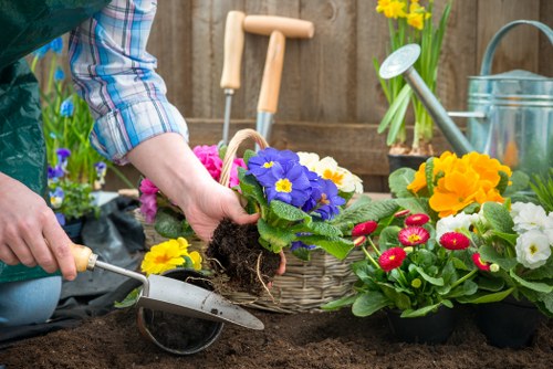 Gardener using hedge trimmers on healthy greenery.