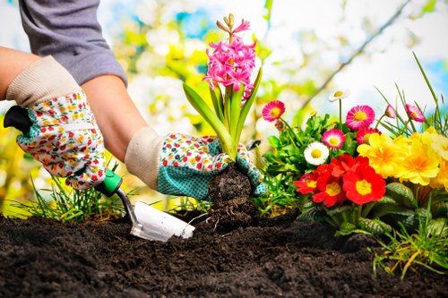 Professional gardener designing a custom deck layout