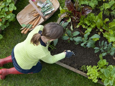 Professional gardener designing a garden deck