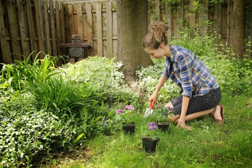 Professional inspecting garden deck for maintenance