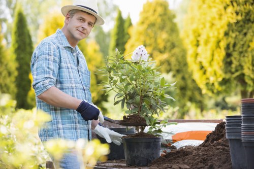 Tree removal service for garden decking