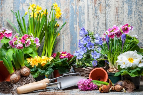 Professional trim service maintaining garden decking